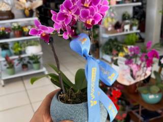 Flores que falam por você: O presente perfeito está aqui na Vasos Decor 