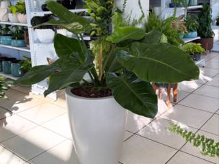 Sua casa merece uma decoração que respira beleza