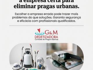 Evite problemas escolhendo a empresa certa para eliminar pragas urbanas