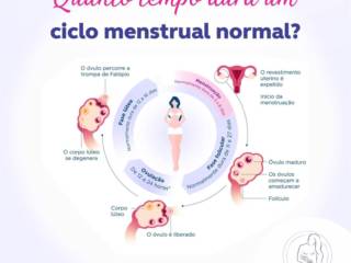 Quanto tempo dura um ciclo menstrual normal?