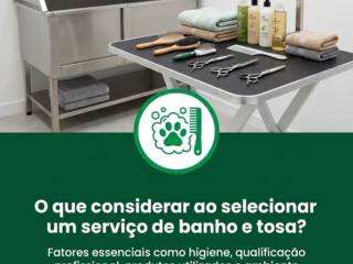 O que considerar ao selecionar um serviço de banho e tosa?