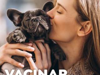 Vacinar é um ato de amor! Mantenha as vacinas do seu pet sempre em dias!