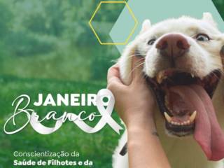 Conheça o Janeiro Branco, Onde Reforçamos a Importância da Saúde Mental e do Bem Estar dos Nossos Amigos de 4 Patas!
