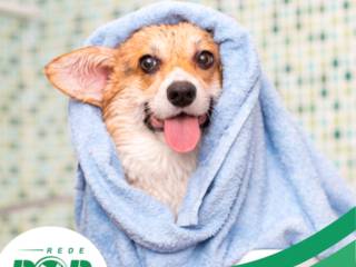 Seu Pet Merece o Melhor: Agora Tem Banho e Tosa na Rede Pop Mineiros!