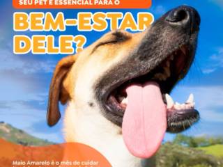 Sorriso saudável, pet feliz!