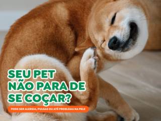 Coceira demais? Pode ser sinal de alerta!