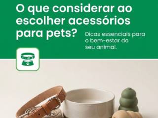O que considerar ao escolher acessórios para pets?