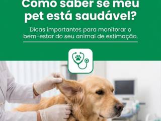 Como saber se meu pet está saudável?