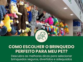 Como escolher o brinquedo perfeito para meu pet?