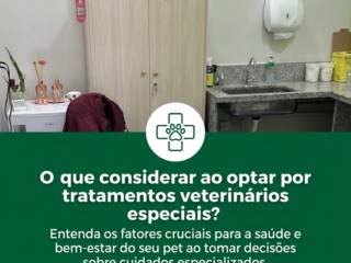 O que considerar ao optar por tratamentos veterinários especiais?