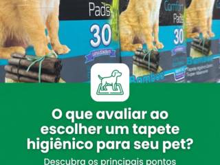 O que avaliar ao escolher um tapete higiênico para seu pet?