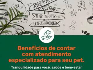 Benefícios de contar com atendimento especializado para seu pet.