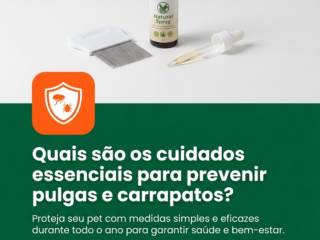 Quais são os cuidados essenciais para prevenir pulgas e carrapatos?