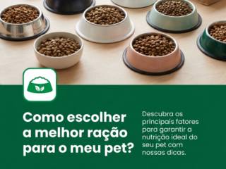Como escolher a melhor ração para o meu pet?