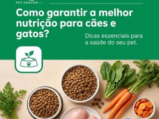 Como garantir a melhor nutrição para cães e gatos?