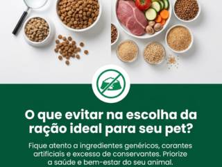 O que evitar na escolha da ração ideal para seu pet?