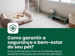 Como garantir a segurança e bem-estar do seu pet?