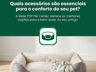 Quais acessórios são essenciais para o conforto do seu pet?