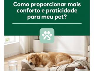 Como proporcionar mais conforto e praticidade para meu pet?