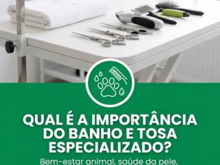 Qual é a importância do banho e tosa especializado?