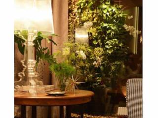 Arquitetura - Plantas dentro de casa