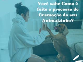 Como é feito o processo de Cremação do seu Animalzinho?