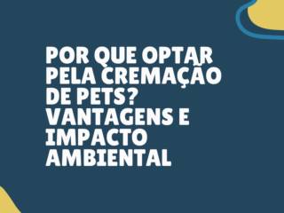 Por que optar pela cremação de pets? Vantagens e impacto ambiental