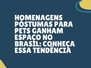 Homenagens póstumas para pets ganham espaço no Brasil: conheça essa tendência