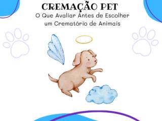 Serviço de Cremação Pet : O Que Avaliar Antes de Escolher um Crematório de Animais