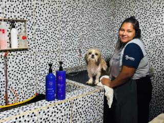 Banho e tosa com cuidado profissional