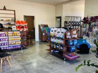 Produtos selecionados para pets exigentes! Conheça a Pet Company em Mineiros