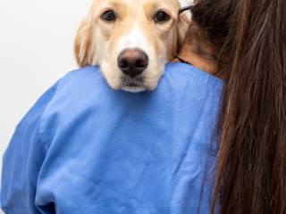 Cuidar Com Amor: A Importância Da Bicho Da Gente Para Os Pets De Ourinhos