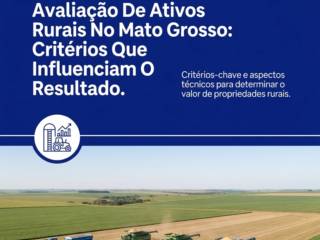 Avaliação De Ativos Rurais No Mato Grosso: Critérios Que Influenciam O Resultado