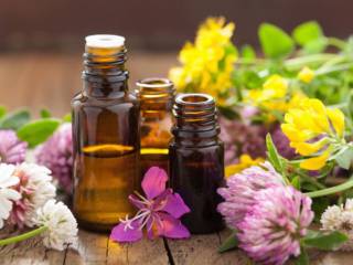 Descubra o Poder da Aromaterapia e do Marketing Olfativo! 