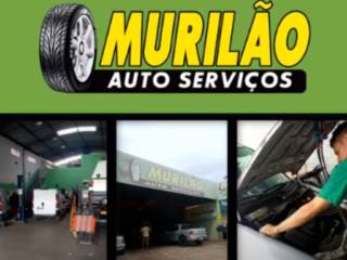 Galeria de videos 