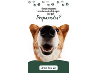 Venha nos Fazer uma Visita! 