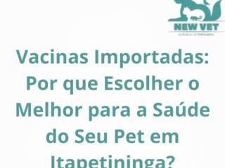 Vacinas Importadas: Por que Escolher o Melhor para a Saúde do Seu Pet em Itapetininga?