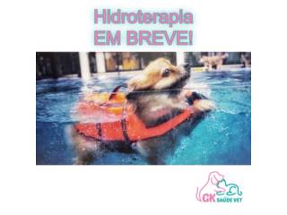 Hidroterapia para Pets | EM BREVE!