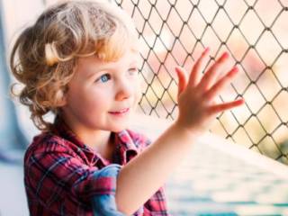 Rede de Proteção  pode salvar vida 