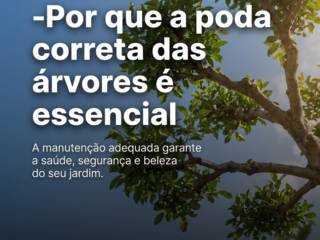 -Por que a poda correta das árvores é essencial