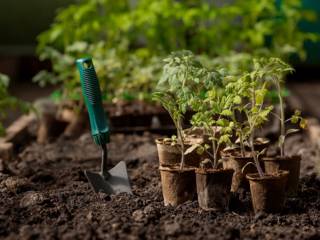Quais são os tipos de serviços de jardinagem fornecidos ao contratar um jardineiro?