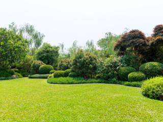 5 motivos para contratar um serviço de Jardinagem Terceirizado