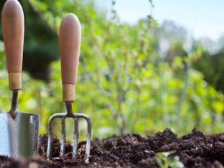 Jardinagem Em Peruíbe: Como Áreas Verdes Transformam O Dia A Dia