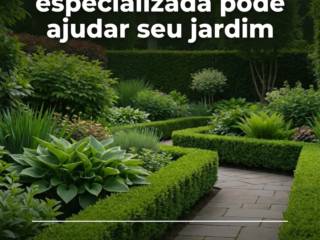 Como a consultoria especializada pode ajudar seu jardim