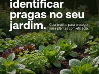 Dicas para identificar pragas no seu jardim