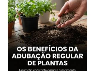 Os benefícios da adubação regular de plantas