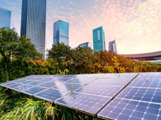 Energia Solar para Pequenos Negócios: GTF Solar oferece soluções para sorveterias e aviários