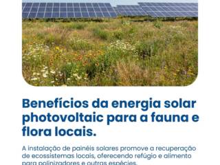Benefícios da energia solar photovoltaic para a fauna e flora locais