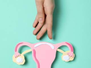 Menopausa Ativa e Qualidade de Vida em Foz do Iguaçu: Novos Caminhos Para Mulheres 40+