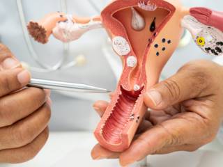 Medicina Integrativa E Ginecologia Em Foz Do Iguaçu PR: Cuidado Completo Para A Saúde Da Mulher